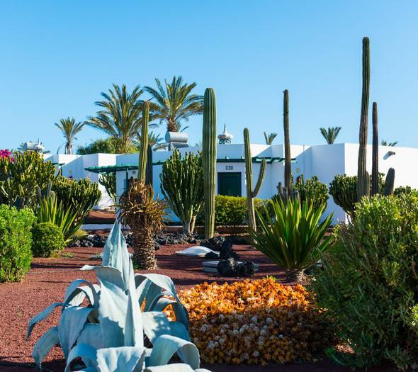 Gartenanlagen Hotel HL Club Playa Blanca**** Lanzarote