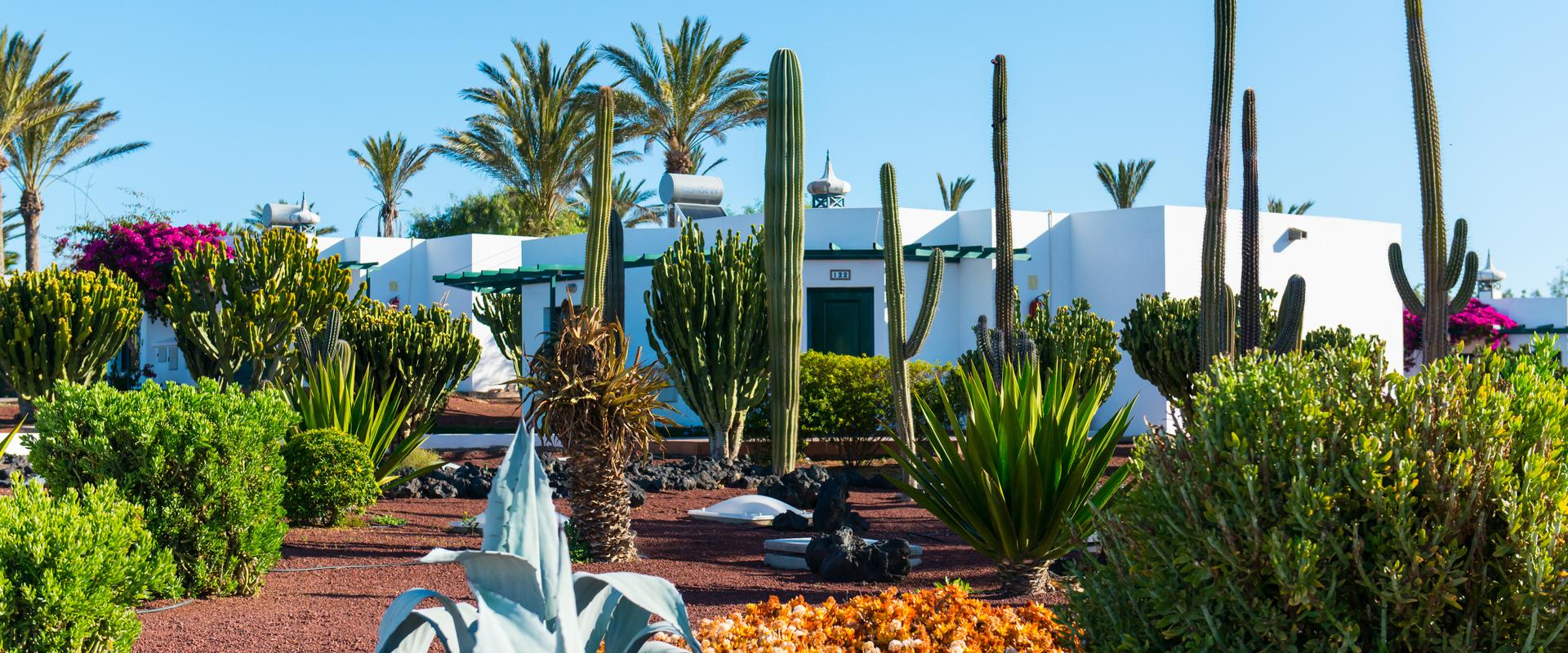 Hotel HL Club Playa Blanca**** Lanzarote  Hotel HL Club Playa Blanca**** Lanzarote